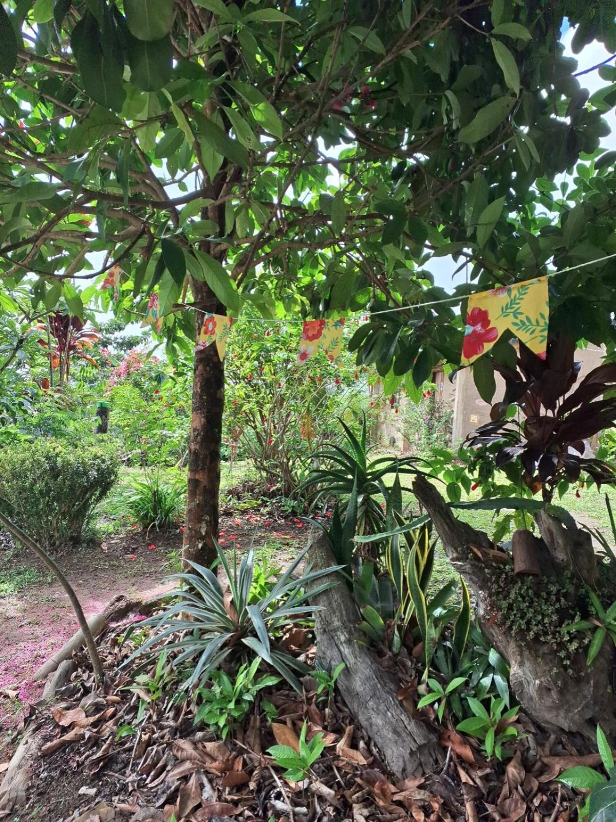 Отель Sitio Monte Alegre Ибикоара Номер фото